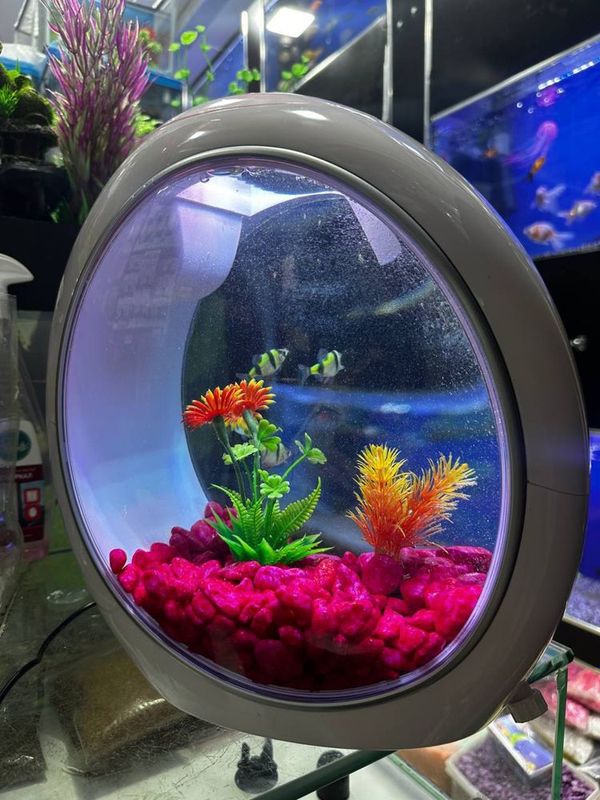 Xitoy akvarium SOBO