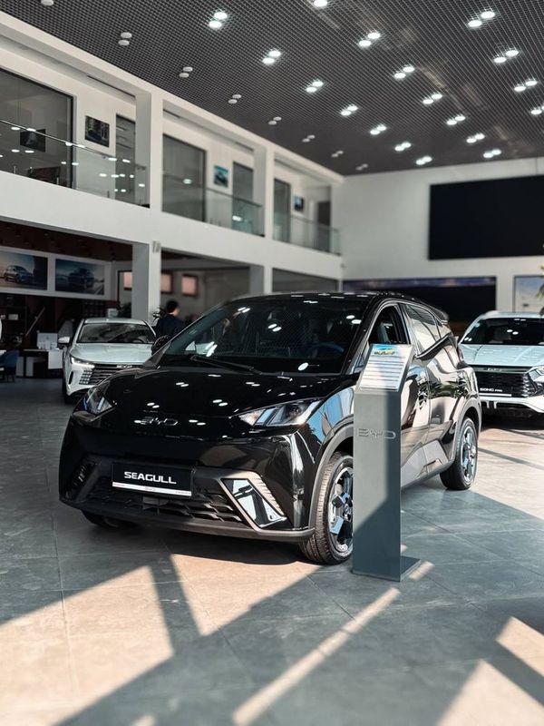 BYD Seagull EV 405 km BYD Seagull EV 405 km