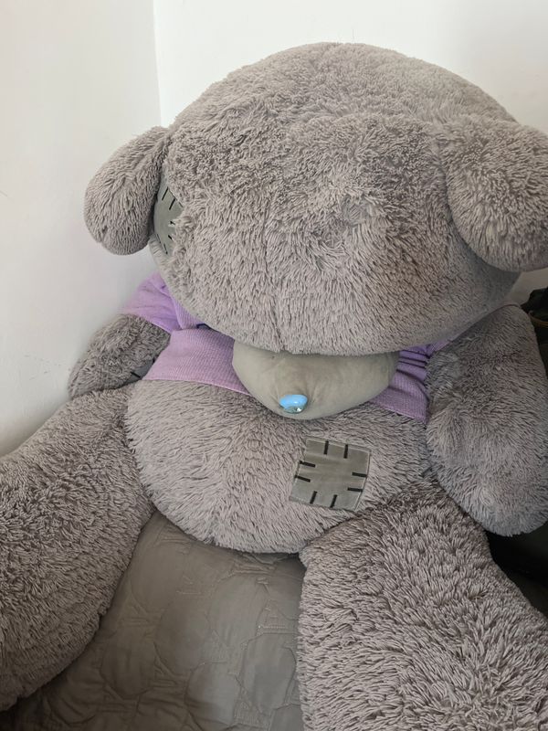 Teddy Teddy