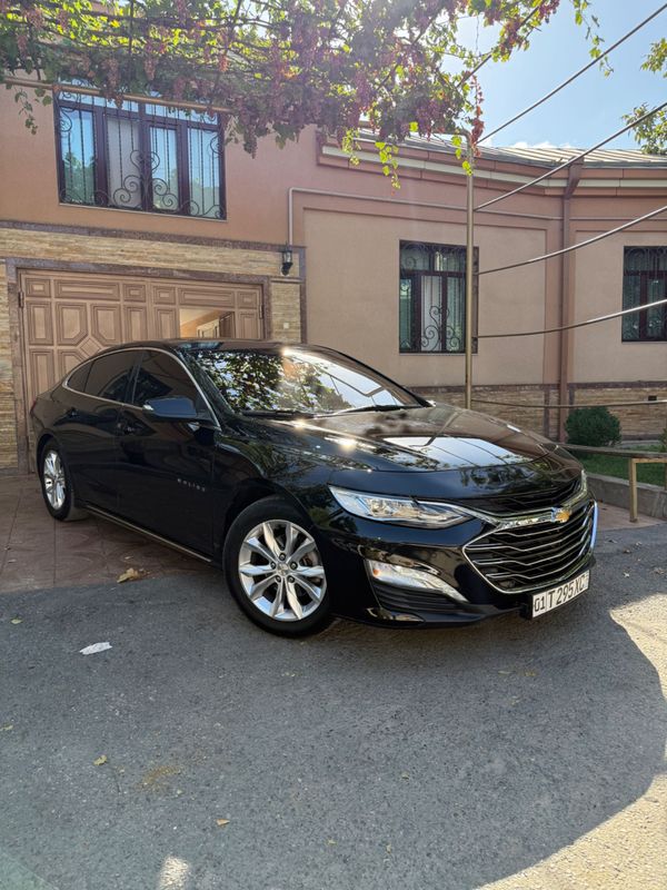 Malibu 2 primer 2020 Malibu 2 primer 2020