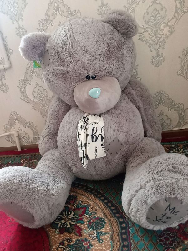 Teddy Teddy