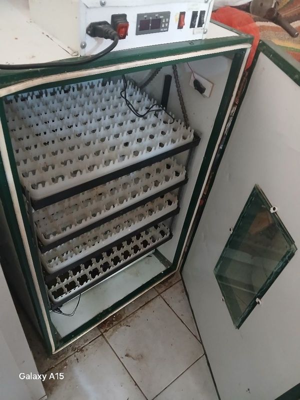 Inkubator 352ta lik 200$ Inkubator 352ta lik 200$