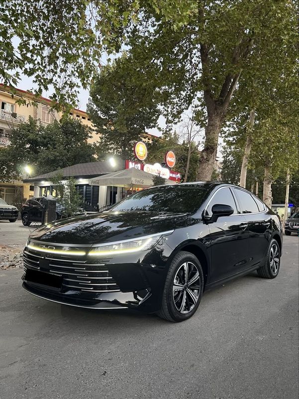 Byd Chazor Flagship Full Позится