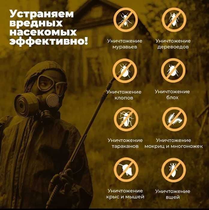 Качество 100% дезинфекция дезинсекция dizinfeksiya dezinfeksiya taraka