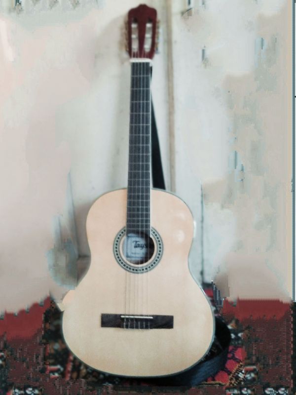 gitara tayste 40