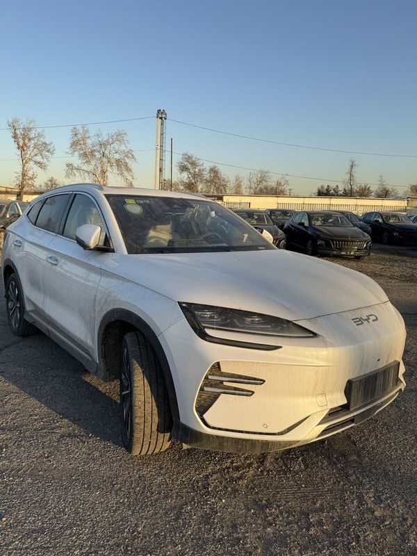 Byd chempion 605 km 2025 model Toshkentda tayyor