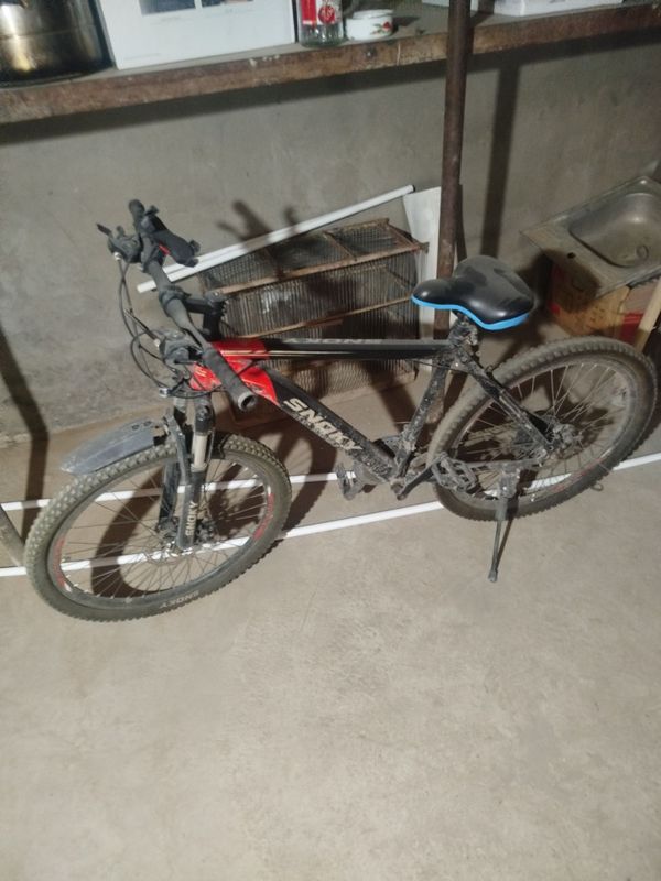 Velosiped sotladi