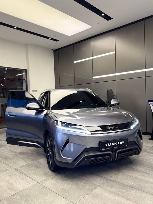 YUAN UP BYD ofitsialniy diller full pozitsiya YUAN UP BYD ofitsialniy diller full pozitsiya