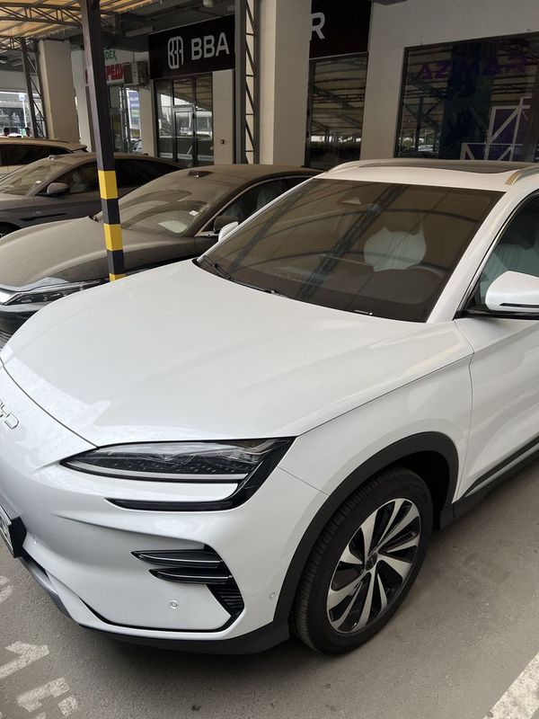 BYD Chempion 2024 electro BYD Chempion 2024 electro