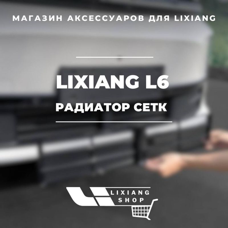 Сетка радиатора для Li6 от «LixiangShop»