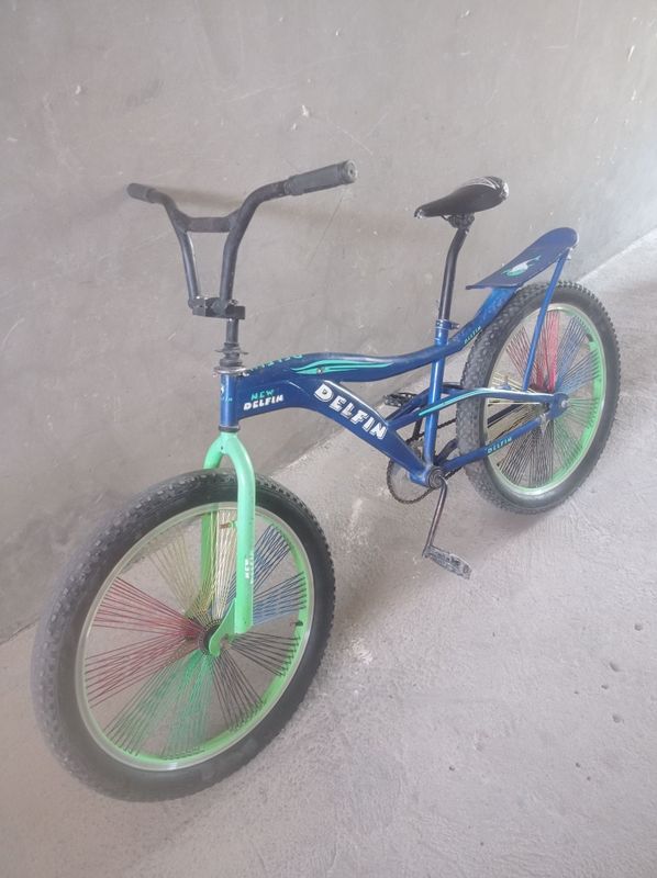 Delfin velosiped 24s
