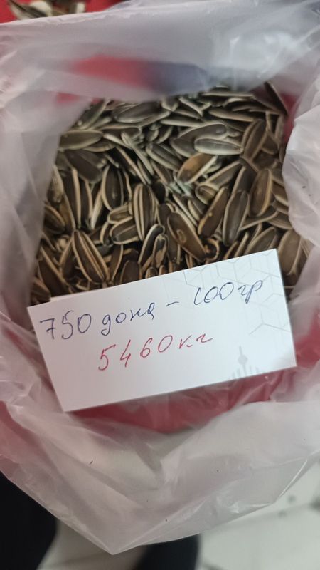 Семечка мега стилади Семечка мега стилади