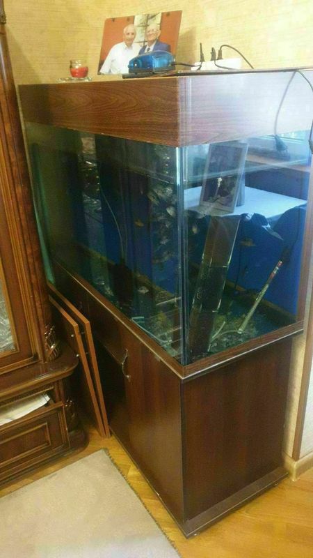 Продам аквариум с тумбой ,380 литров ..В комплекте лампа,фильтр,о Продам аквариум с тумбой ,380 литров ..В комплекте лампа,фильтр,о