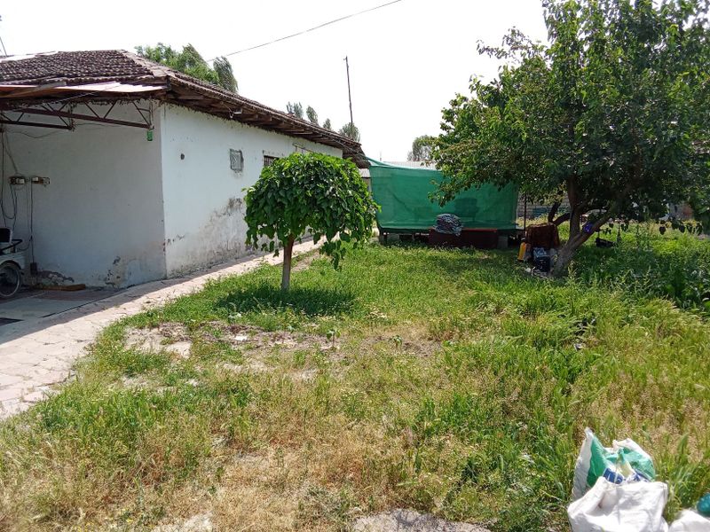 Srocni 24 sotx 2 xonali xamma sharoyitlar bor xovli sotlad Srocni 24 sotx 2 xonali xamma sharoyitlar bor xovli sotlad