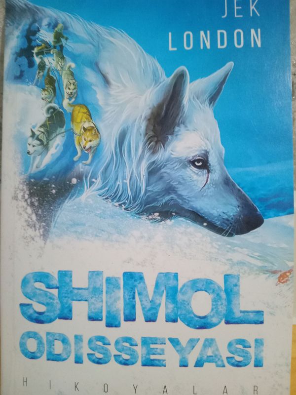 Shimol Odiseyasi Shimol Odiseyasi