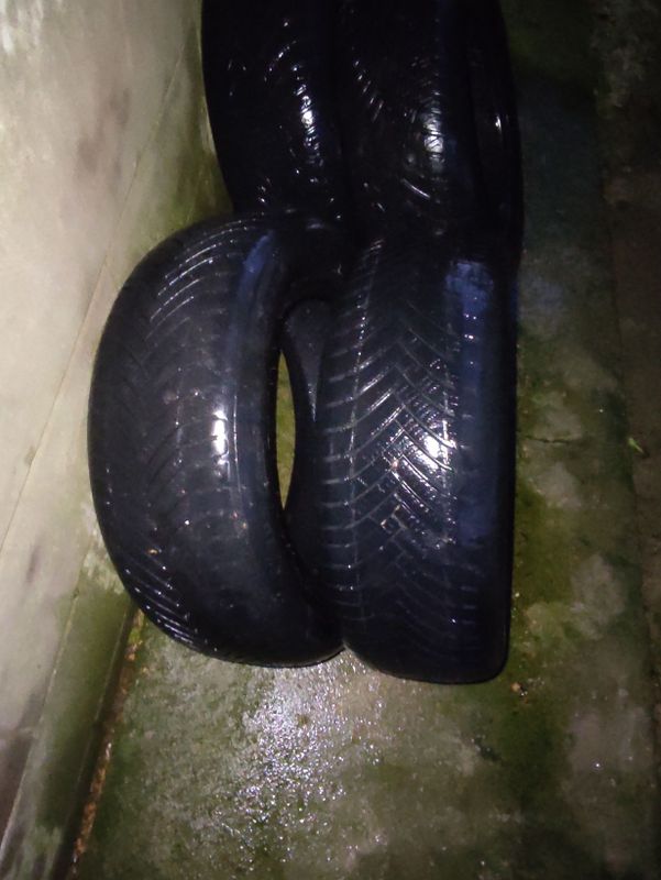 Balon sotiladi yumshoq largo tishlari yahshi Balon sotiladi yumshoq largo tishlari yahshi