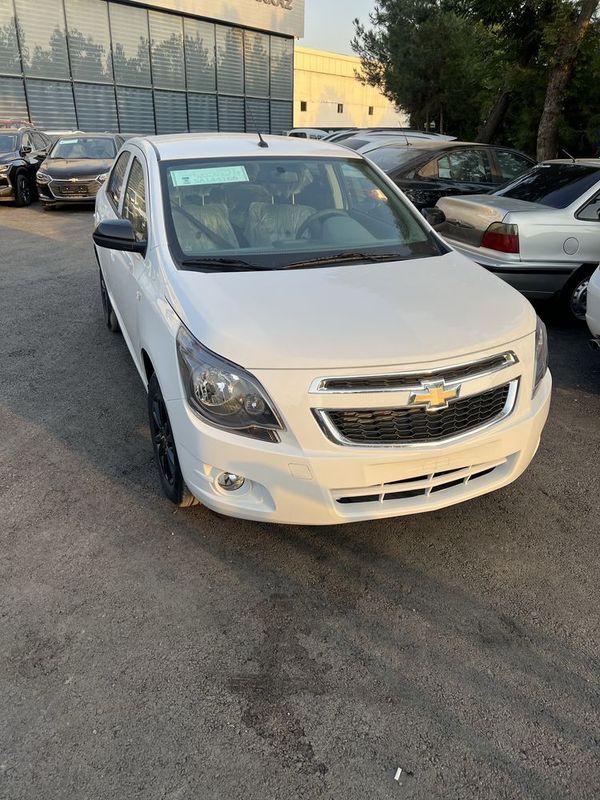 Cobalt midnight 2025 Cobalt midnight 2025