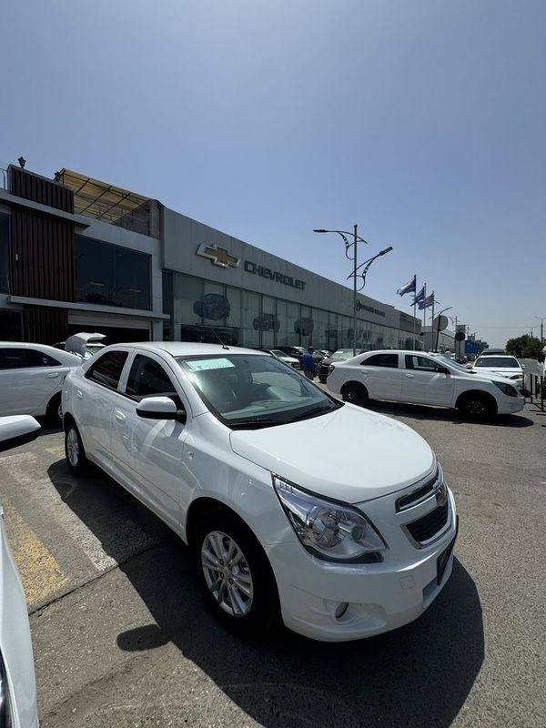 Cobalt Style va Gx-Optima Cobalt Style va Gx-Optima