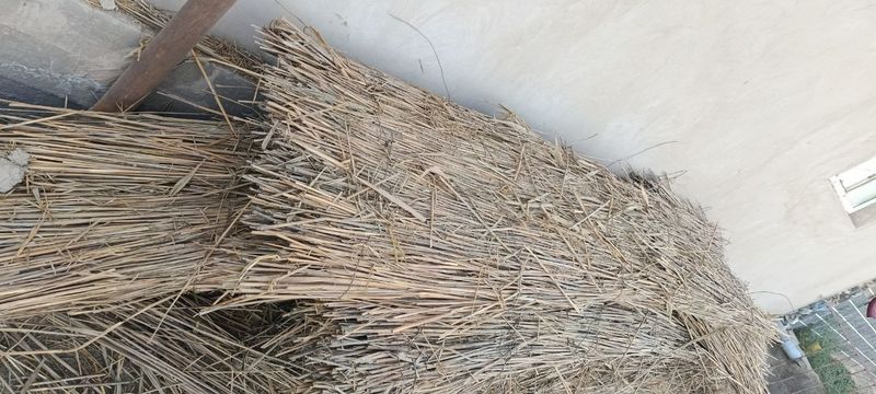 Камыс плита сатылады ены 70 80 см узынги 3мерт 15 мин 35 шт Камыс плита сатылады ены 70 80 см узынги 3мерт 15 мин 35 шт
