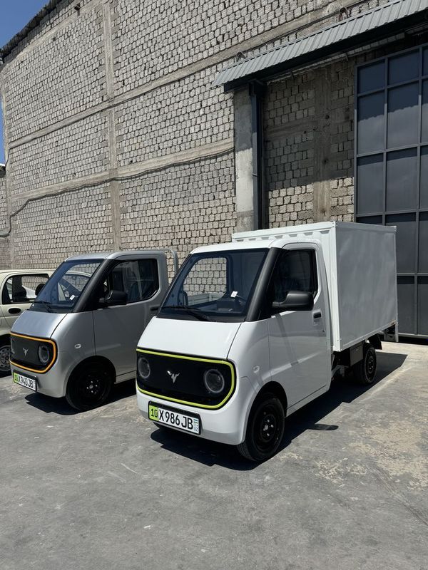 Damas mini elektro Damas mini elektro