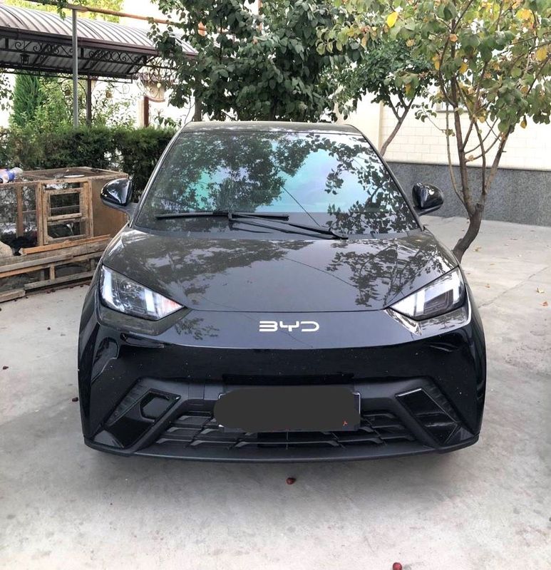 Нотариус BYD seagull 401km 2025