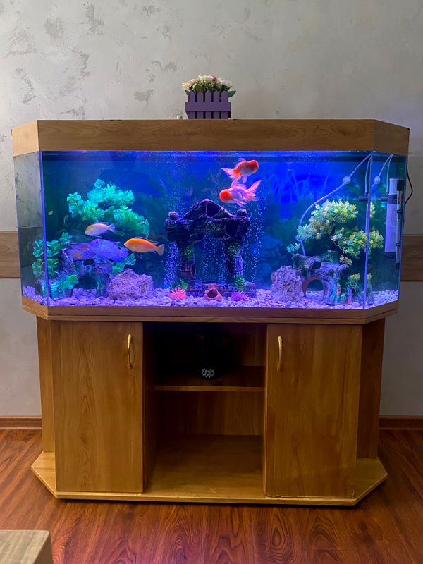 akvarim akvarim
