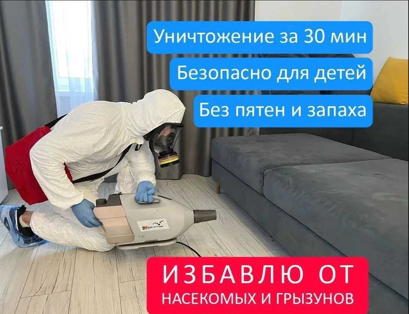 Дезинфекция от клопов дезинсекция dezinfeksiya dizinfeksiy klapa клоп