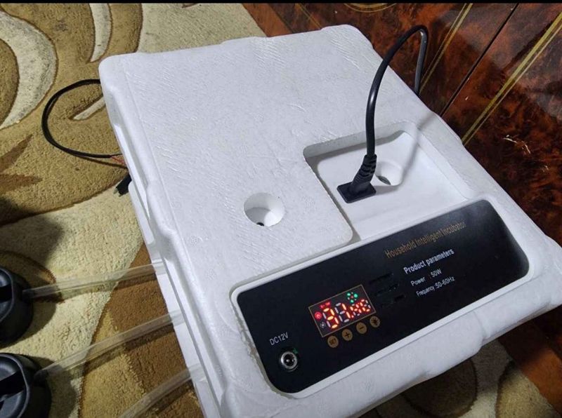 Inkubator avtomat 15 talik