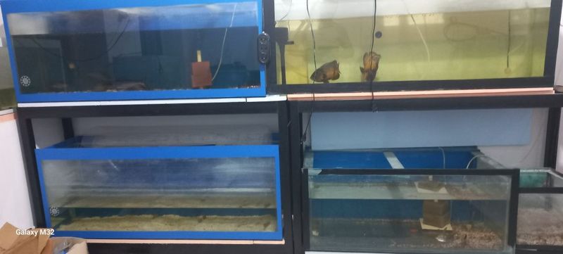 Farĝonada akvariumlar sotiladi Farĝonada akvariumlar sotiladi
