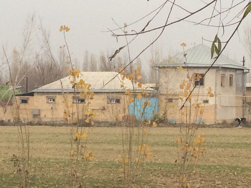 База 15 соток + оборудование молочной линии База 15 соток + оборудование молочной линии