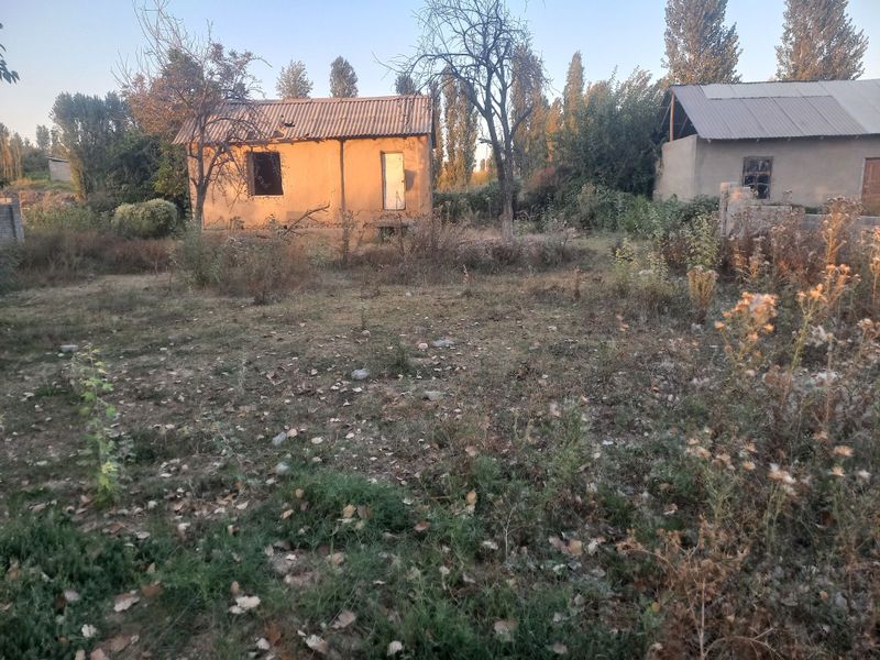 Yangiyol tumani Xalkabot olma uzim bogi