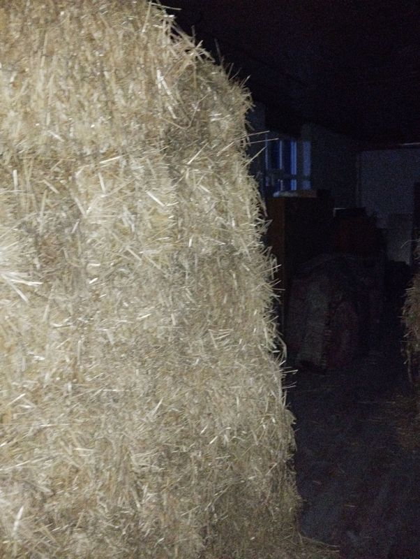 pres somon 80 pres orzonro bervoraman pul kere