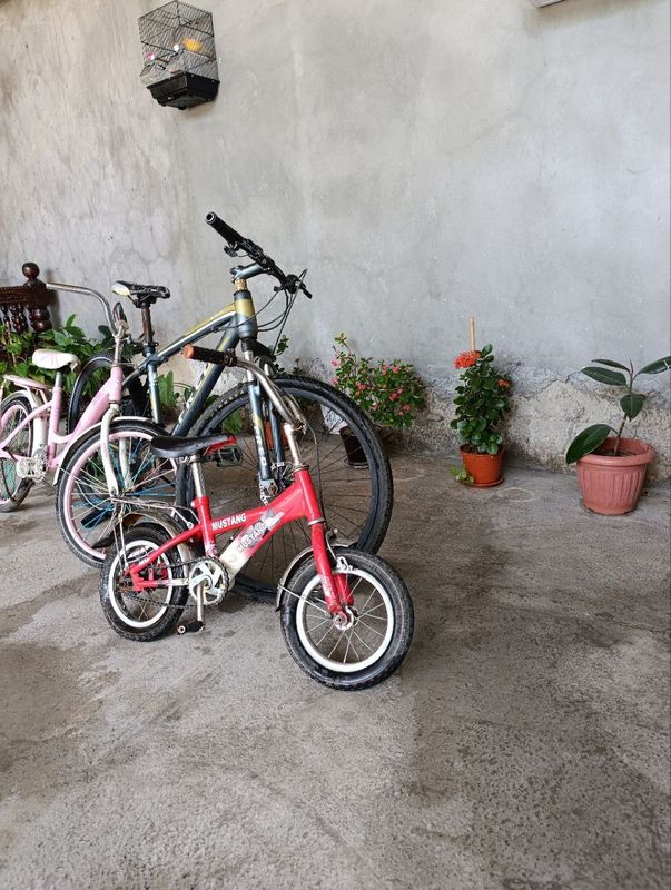 3 ta velosiped sotiladi 3 ta velosiped sotiladi