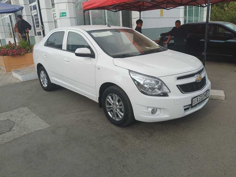 Cobalt 2024 kraska toza 12300