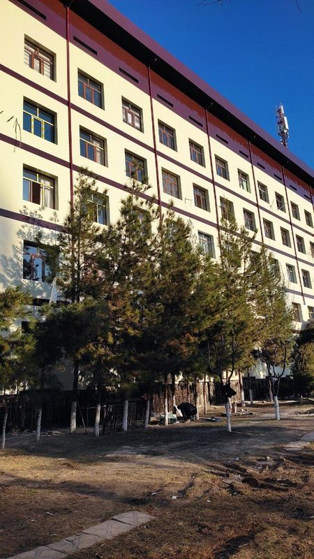Alikabond alkofon ustalari bor 15 yilik tajribaga ega