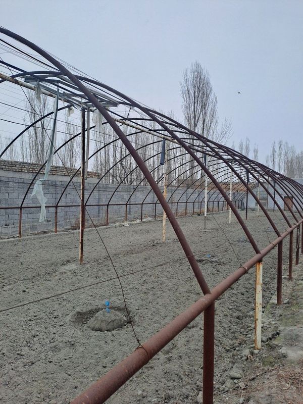 Парник иссикхона Парник иссикхона