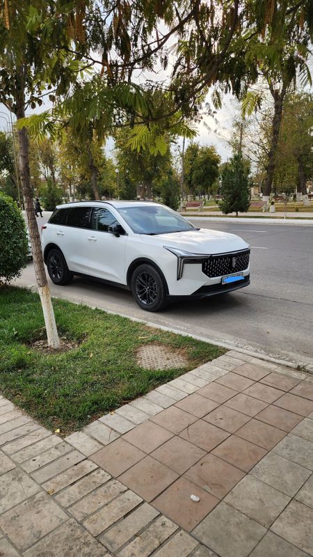 Bestune t55 краскаси тоза Bestune t55 краскаси тоза