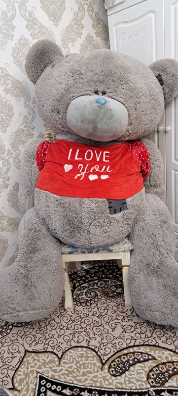 Teddy  bo'yi 1.90