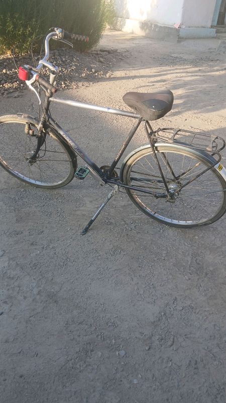 Gazelli