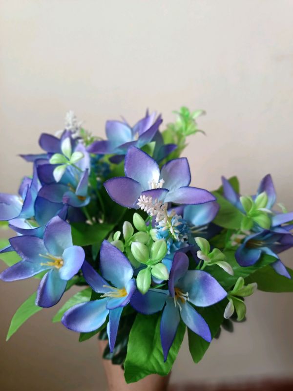 Beauty_Flowers
