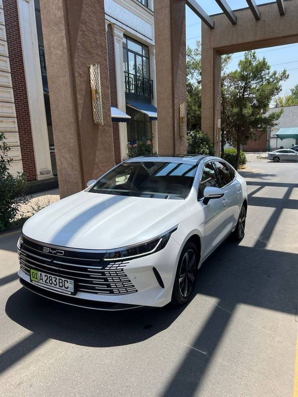 BYD chazor 120 tali BYD chazor 120 tali