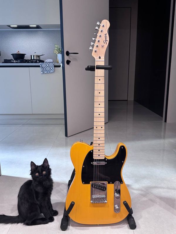 Комплект Squier Telecaster + Fender Champion 20