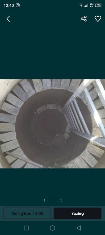 Koʻza shaklida kalodis Koʻza shaklida kalodis