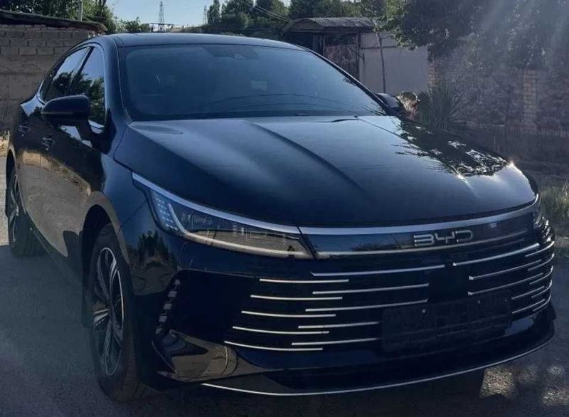 Byd Chazor Boshlangich 30%