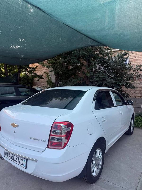 cobalt avtamad 2024 tozza cobalt avtamad 2024 tozza
