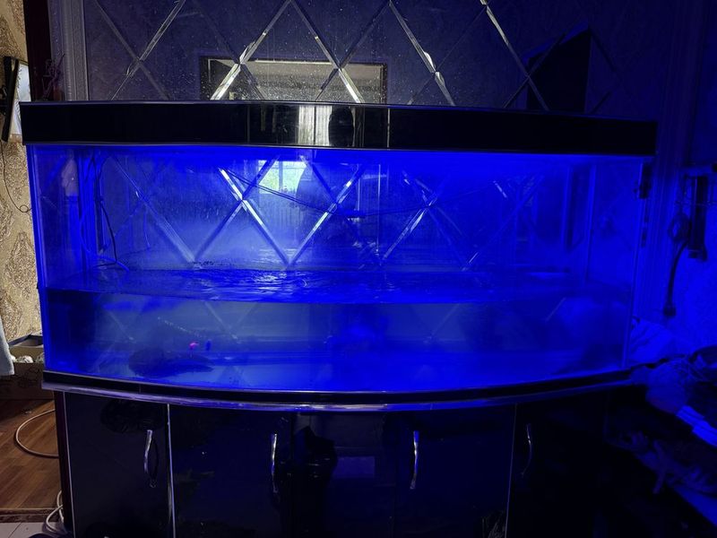 Akvarium katta. Аквариум большой. Akvarium katta. Аквариум большой.