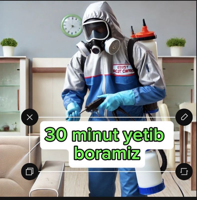 Dezinfeksiya, Dizenfeksiya Dezinseksiya
