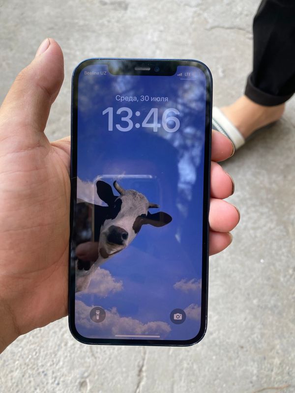 Iphone 12 Iphone 12