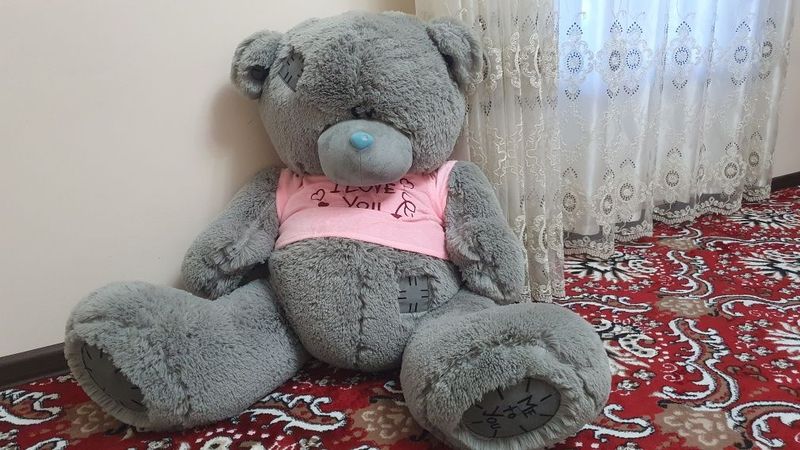 TEDDY ayiqcha 1ta dona