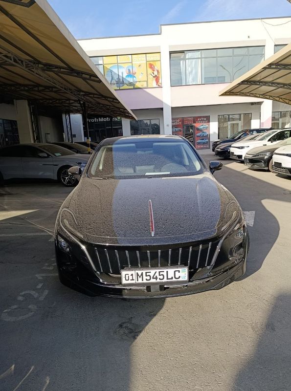 Hongqi E-QM5 500km notarius Hongqi E-QM5 500km notarius
